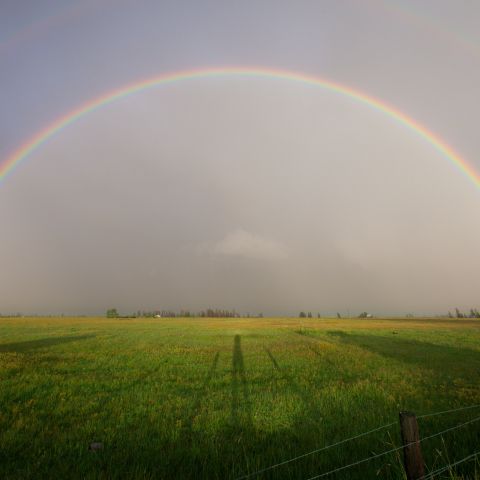 Australian packaging facility